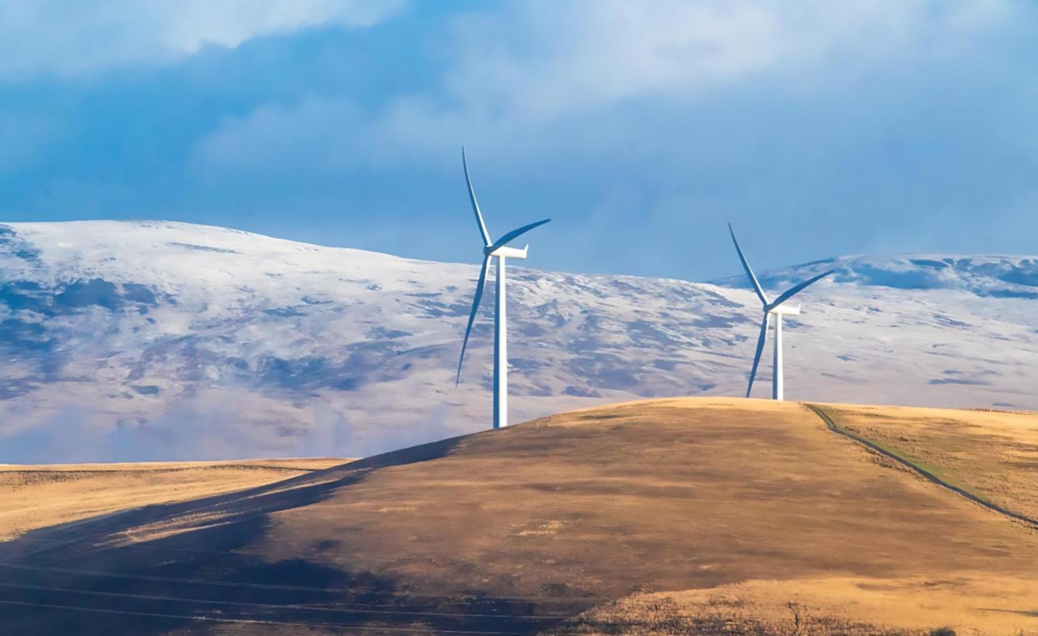 Interaktive Lernmodule